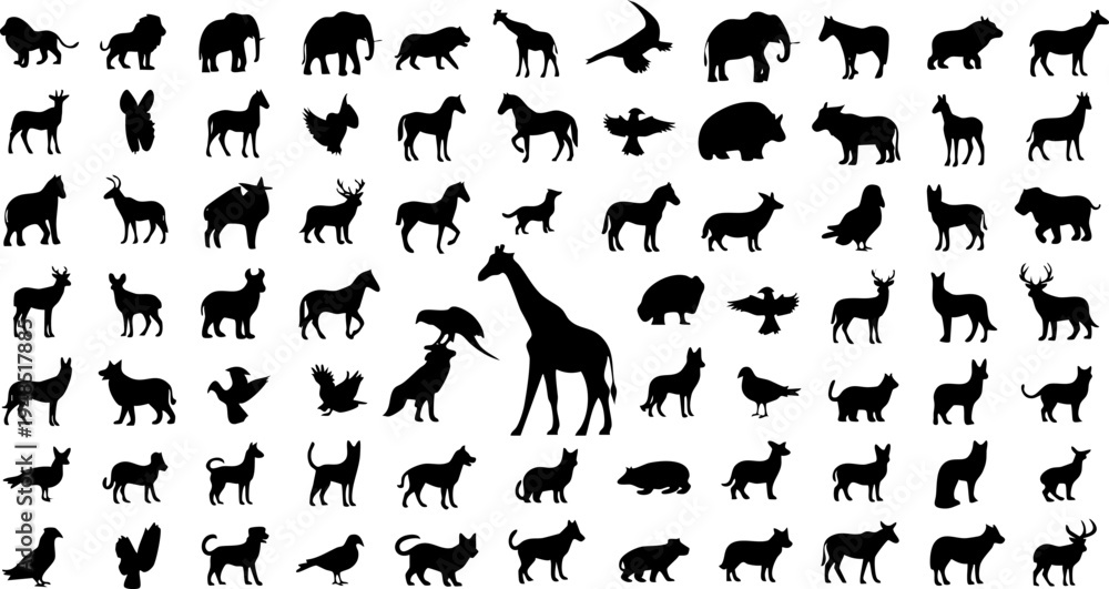 Obraz premium Large set of black animal vector silhouettes for wildlife nature graphic design and educational illustrations.