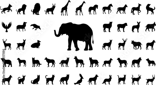 Collection of various wild animal and domestic pet black silhouettes vector graphic icons set