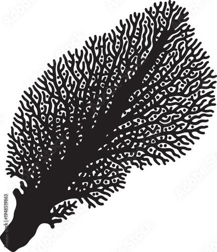 Black Sea Fan Coral Silhouette Isolated on White Background