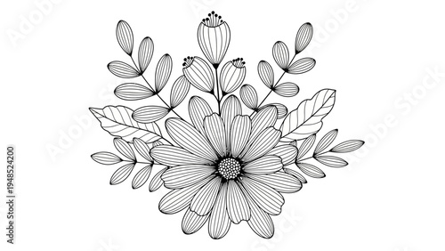 Hand-drawn floral illustration, delicate daisy bouquet, line art, botanical sketch