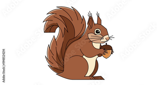 Adorable cartoon red squirrel holding an acorn, isolated on white.