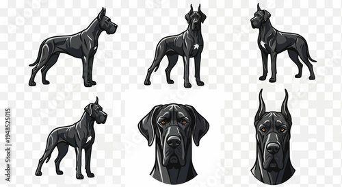 Set of Black Great Dane Dog Poses and Headshots, Vector Illustrations