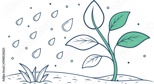 Green plant sprout with raindrops on white background leaves