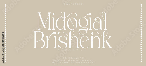 Midogial Brishenk Typography Luxury wedding alphabet letters font and number. Elegant classic lettering serif fonts decorative vintage retro concept. vector illustration