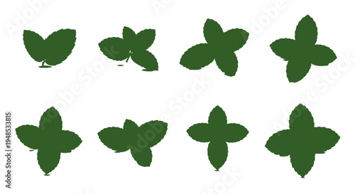 Green Mint Leaf Silhouette Icons Set Fresh Herb Vector Illustration Design Element