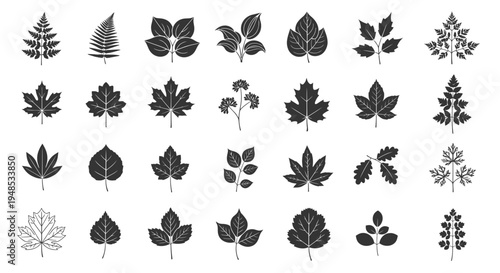 Set of Various Garden Plant Leaf Silhouettes Vector Illustration for Nature and Botanical Design