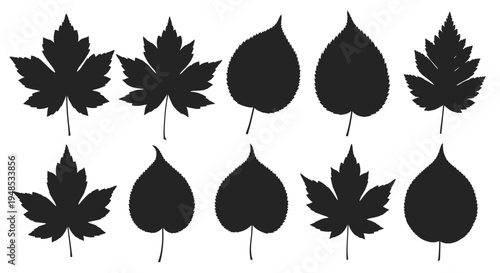 Natural Forest Tree Leaf Silhouette Icon Collection Set Vector Illustration