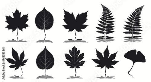 Forest Leaf Silhouette Icons Set Vector Illustration Collection for Nature Design Elements