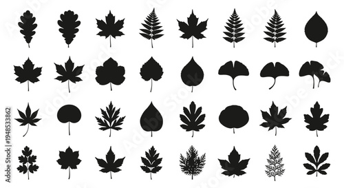 Black Wild Plant Leaf Silhouettes Nature Icon Collection for Botanical Design Vector Illustration