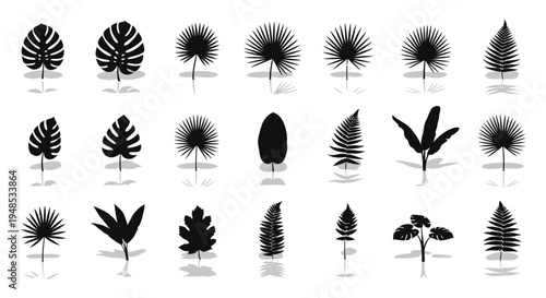 Exotic Tropical Leaf Silhouette Collection Botanical Vector Illustration Elements