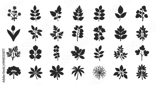 Black Garden Plant and Foliage Leaf Silhouette Icon Set Vector Illustration Design Elements