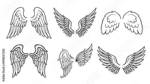angel wings, Hand-drawn outline doodle sketches vector set collection , white background , PNG and SVG isolate