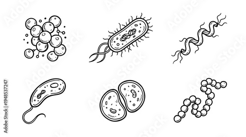 bacteria, Hand-drawn outline doodle sketches vector set collection , white background , PNG and SVG isolate