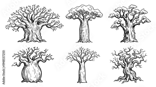 baobab tree, Hand-drawn outline doodle sketches vector set collection , white background , PNG and SVG isolate