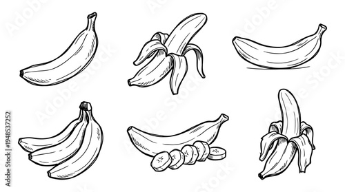 banana, Hand-drawn outline doodle sketches vector set collection , white background , PNG and SVG isolate