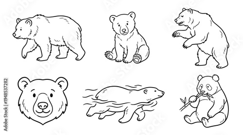 bear, Hand-drawn outline doodle sketches vector set collection , white background , PNG and SVG isolate