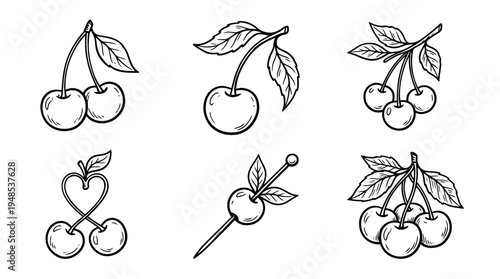 cherry garnish, Hand-drawn outline doodle sketches vector set collection , white background , PNG and SVG isolate
