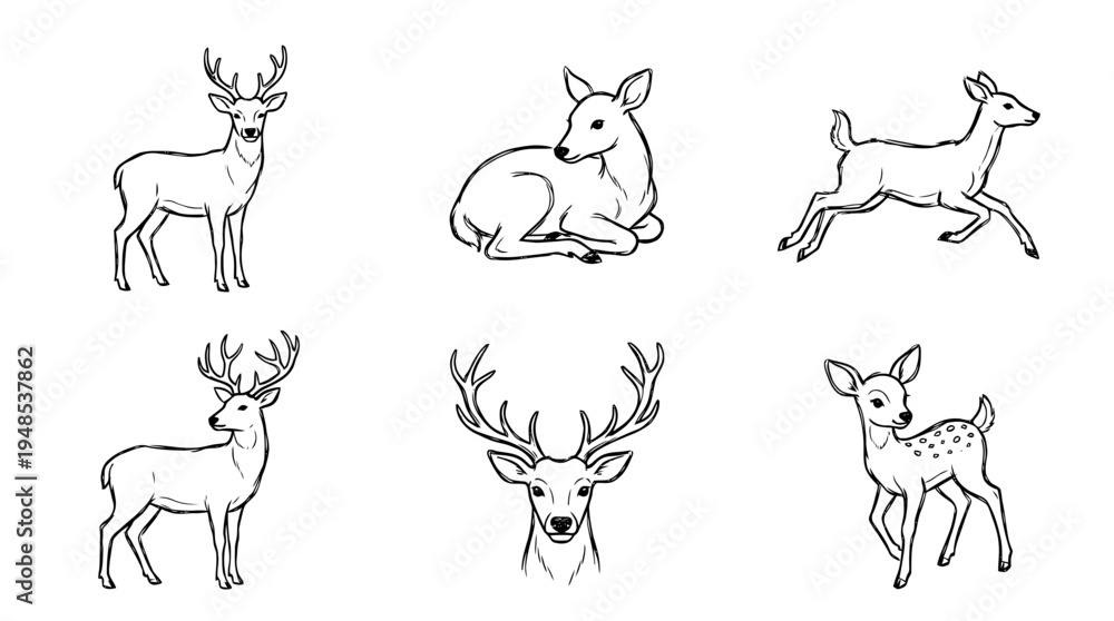 Fototapeta premium deer, Hand-drawn outline doodle sketches vector set collection , white background , PNG and SVG isolate