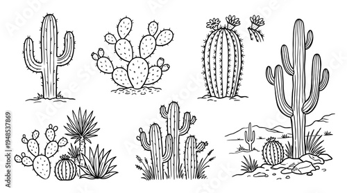 desert cactus, Hand-drawn outline doodle sketches vector set collection , white background , PNG and SVG isolate