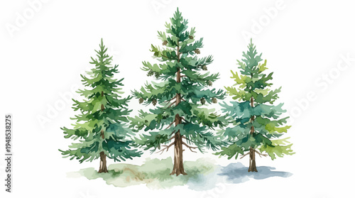 Watercolor evergreen tree trio with three isolated conifers