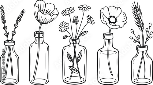 Line Drawing of Five Glass Vases with Assorted Flowers and Wheat Stalks line art illustration