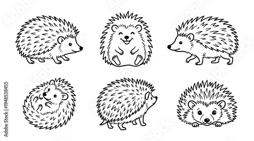 hedgehog, Hand-drawn outline doodle sketches vector set collection , white background , PNG and SVG isolate
