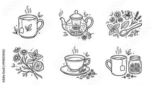 herbal tea, Hand-drawn outline doodle sketches vector set collection , white background , PNG and SVG isolate