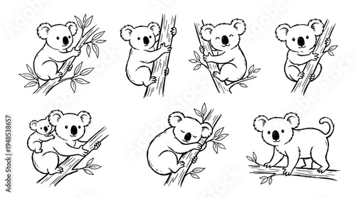 koala, Hand-drawn outline doodle sketches vector set collection , white background , PNG and SVG isolate