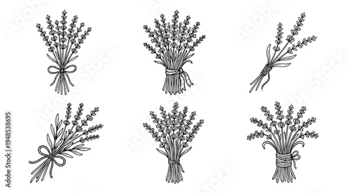 lavender bundle, Hand-drawn outline doodle sketches vector set collection , white background , PNG and SVG isolate