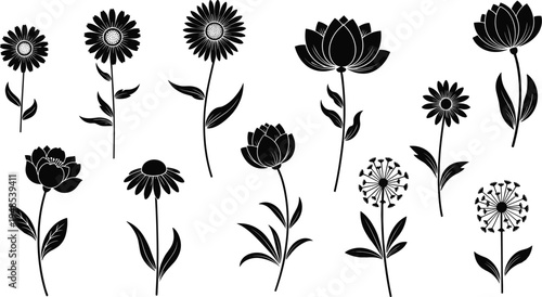 Flower silhouettes collection featuring daisy, lotus, dandelion and wildflowers botanical elements isolated black vector illustration set for nature design