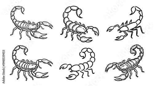 scorpion, Hand-drawn outline doodle sketches vector set collection , white background , PNG and SVG isolate