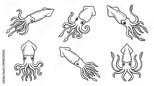squid, Hand-drawn outline doodle sketches vector set collection , white background , PNG and SVG isolate