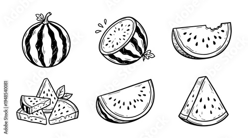 watermelon, Hand-drawn outline doodle sketches vector set collection , white background , PNG and SVG isolate