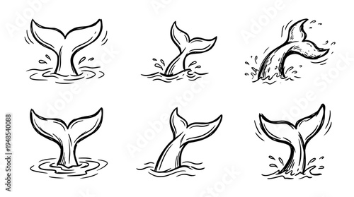 whale tail, Hand-drawn outline doodle sketches vector set collection , white background , PNG and SVG isolate