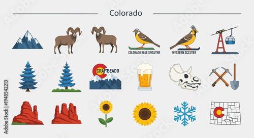 Colorado-themed illustrations featuring iconic landmarks, wildlife, and activities