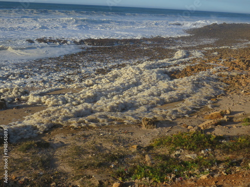 Foamy Waves Along the Atlantic Shore