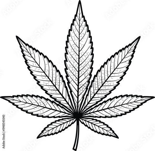 Cannabis leaf silhouette, marijuana plant illustration, hemp vector design, botanical symbol, medicinal herb concept, cultural icon, natural foliage silhouettes