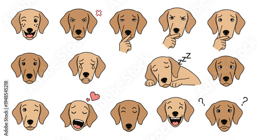 Comprehensive collection of dog facial expressions depicting various emotions such as happiness, sadness, anger, and confusion in a simple cartoon style.