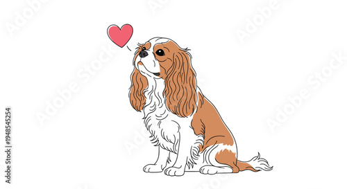 Lovely Cavalier King Charles Spaniel dog looking up with affection towards a floating pink heart bubble representing love and loyalty.