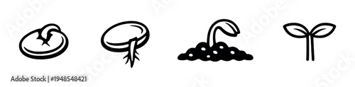 Seed sprouting sequence icons on dark gradient background