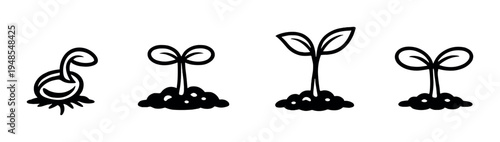 Four seedling growth stage icons arranged on gray background