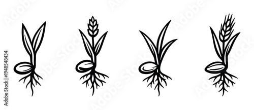 Seedling and cereal growth icons with roots on dark background