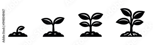 Plant growth stages shown in a row on dark background