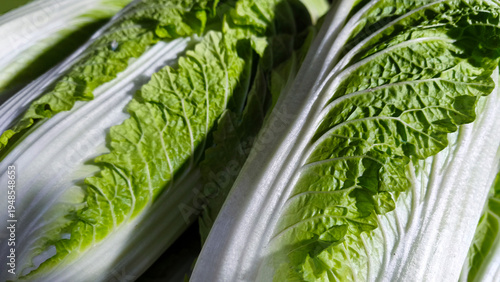 fresh Napa cabbage, Chinese cabbage, vegetables, harvest (3)