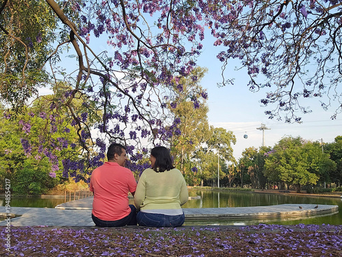 Принти на полотні Latino couple of man and woman contemplate the purple flowers of the jacaranda t