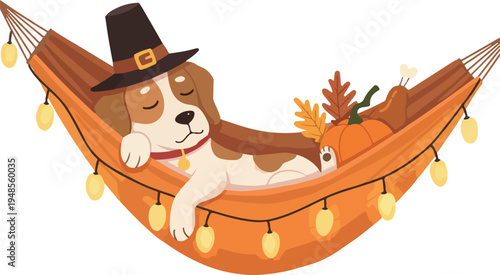 Cute Dog Sleeping in Thanksgiving Hammock Cozy Autumn Lights