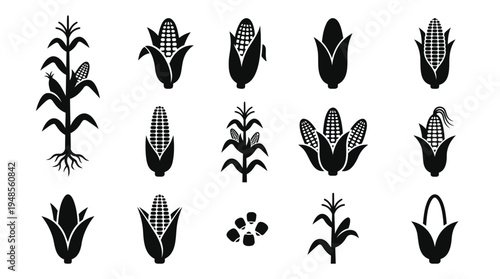Set of 15 Black and White Corn Icons Vector Collection for Agriculture, Food, and Harvest Designs, Featuring Maize Plants, Cobs, and Kernels