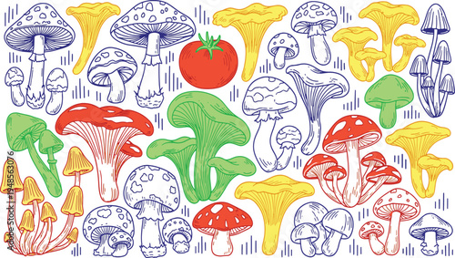 Colorful organic forest mushrooms and fresh garden tomato vegetable sketches in a whimsical hand drawn vector illustration doodle art