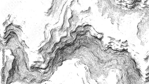 Detailed black and white topographic contour lines creating a textured abstract pattern resembling geological formations or wood grain