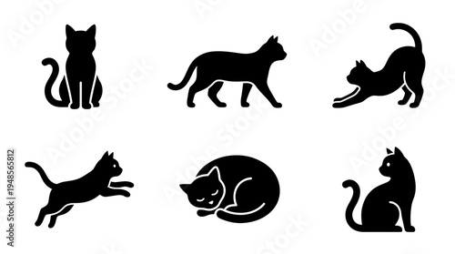 collection of cat, 6 filled black minimal icon vector set , white background , PNG and SVG isolate